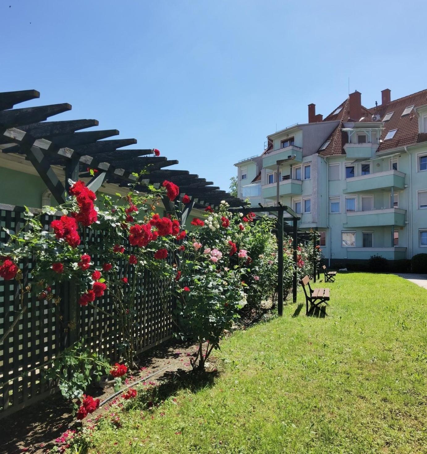 Rose Gold Apartment Zalaegerszeg Eksteriør billede